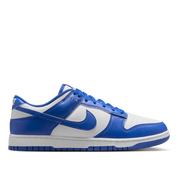 Nike Men's Dunk Low Retro Shoes