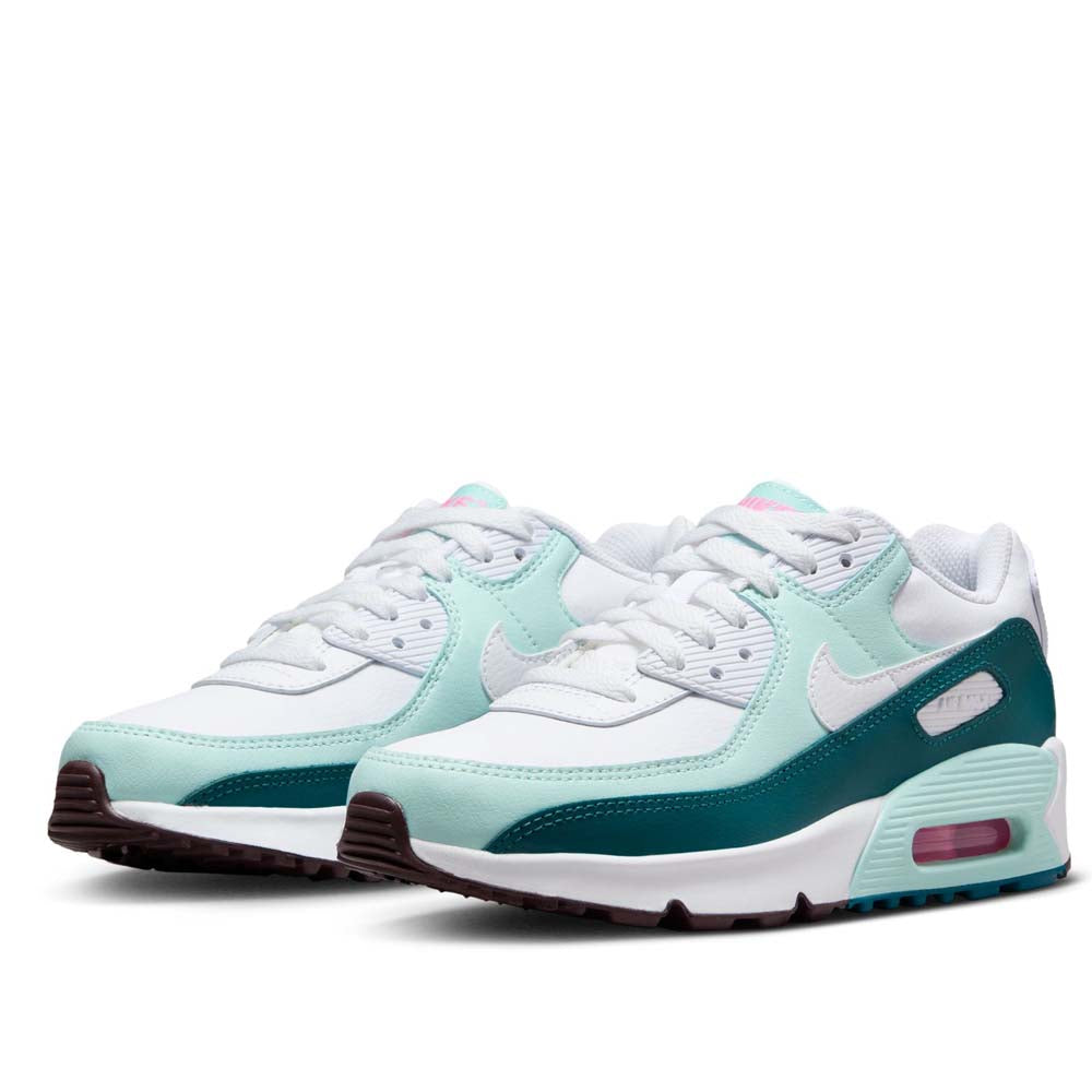 Nike Big Kids Air Max 90 LTR Shoes