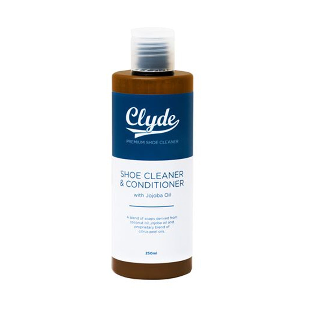 Shoe on sale cleaner recipe